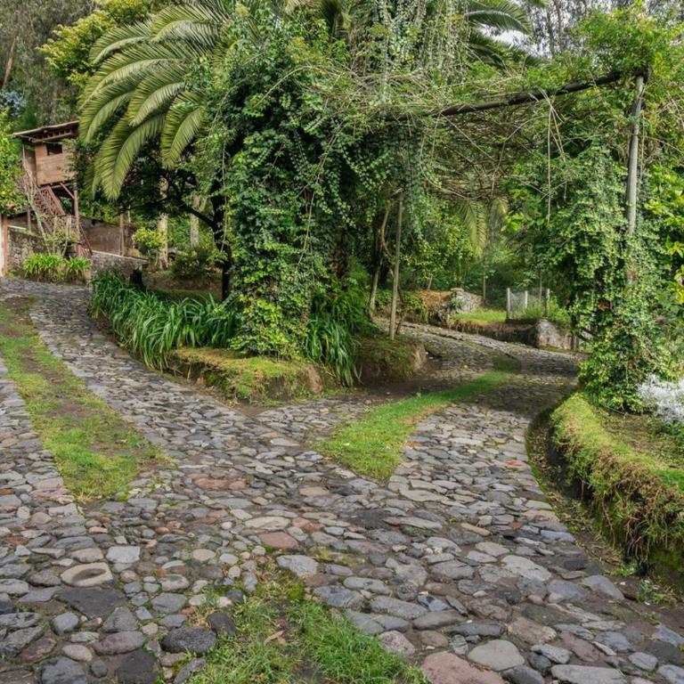 Spacious Quinta with green areas - Chalet - 5