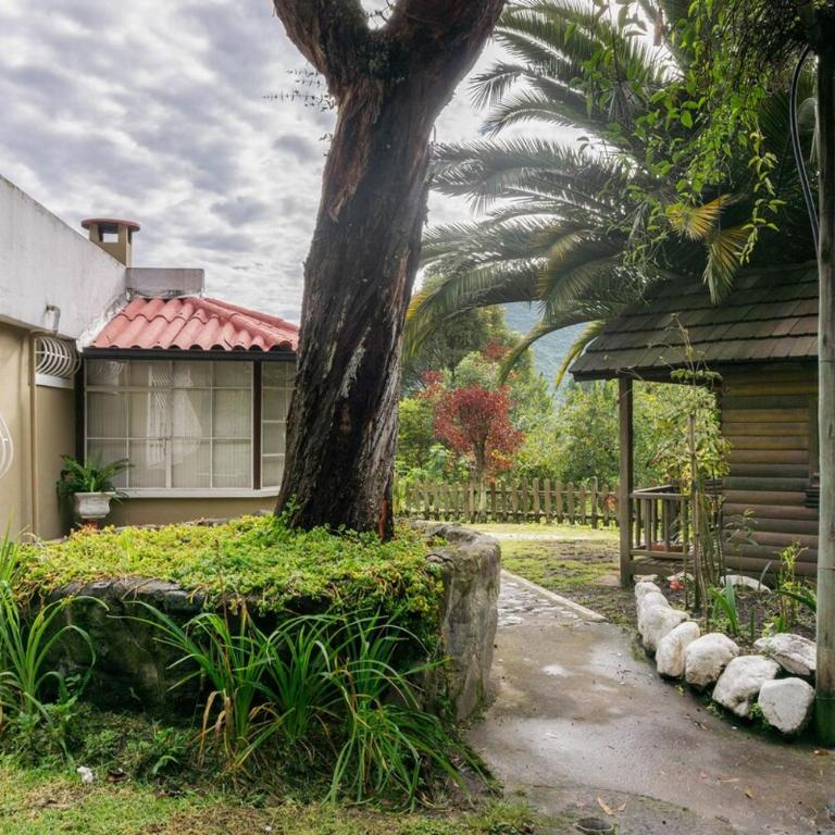 Spacious Quinta with green areas - Chalet - 8