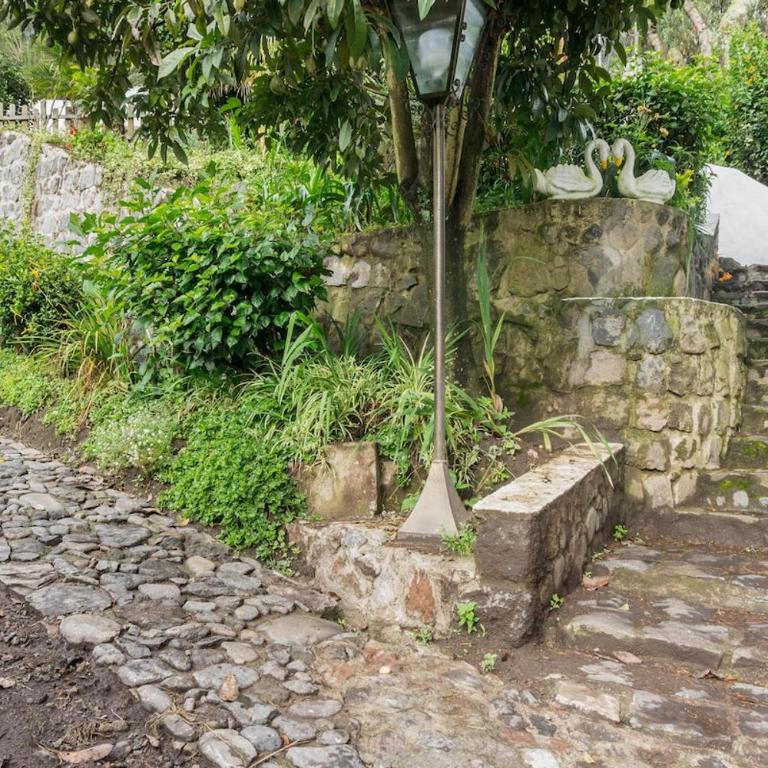 Spacious Quinta with green areas - Chalet - 20