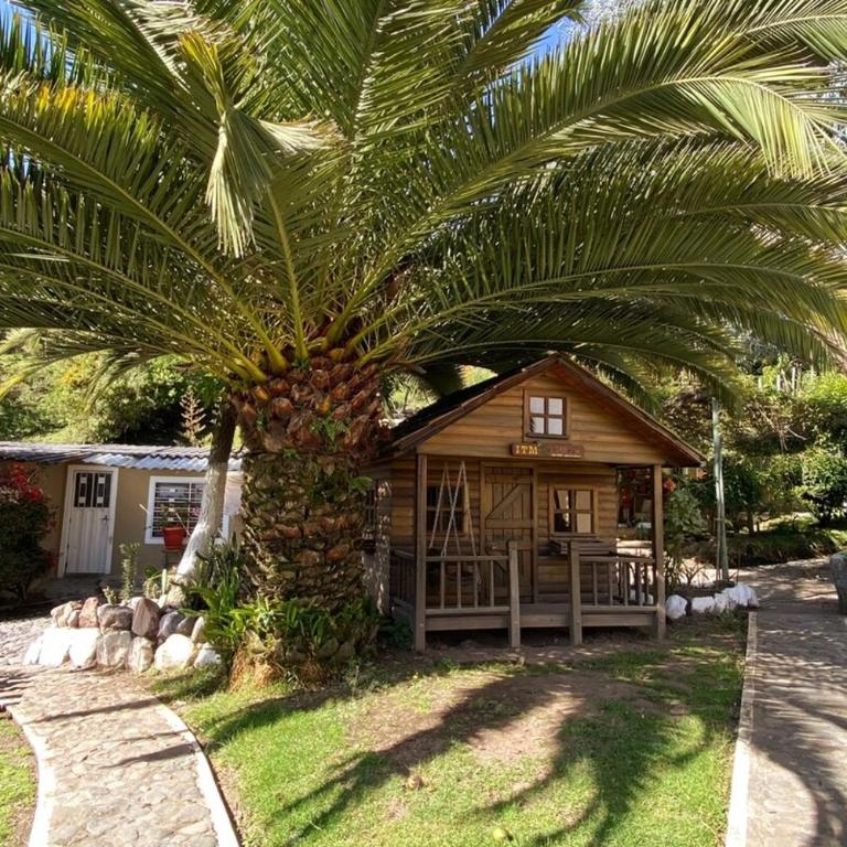 Spacious Quinta with green areas - Chalet - 25