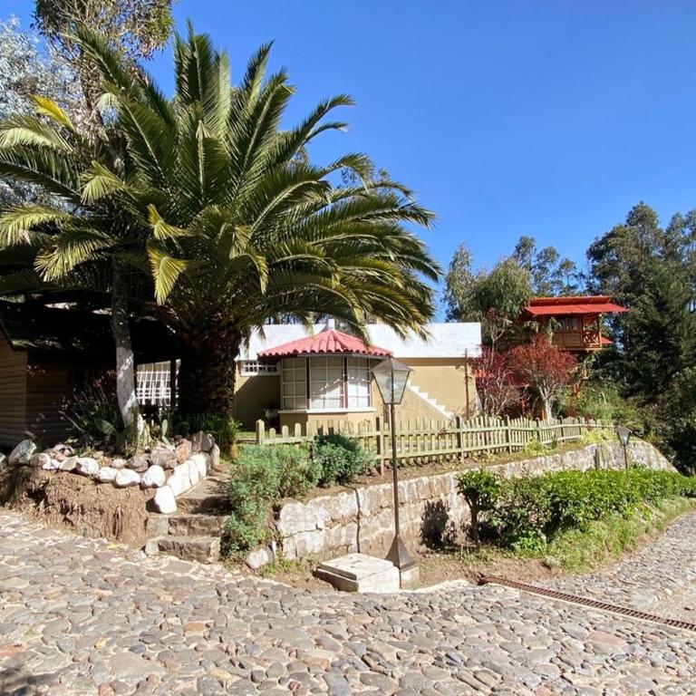 Spacious Quinta with green areas - Chalet - 26