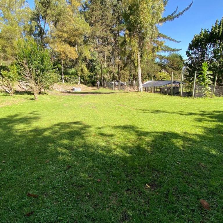 Spacious Quinta with green areas - Chalet - 38