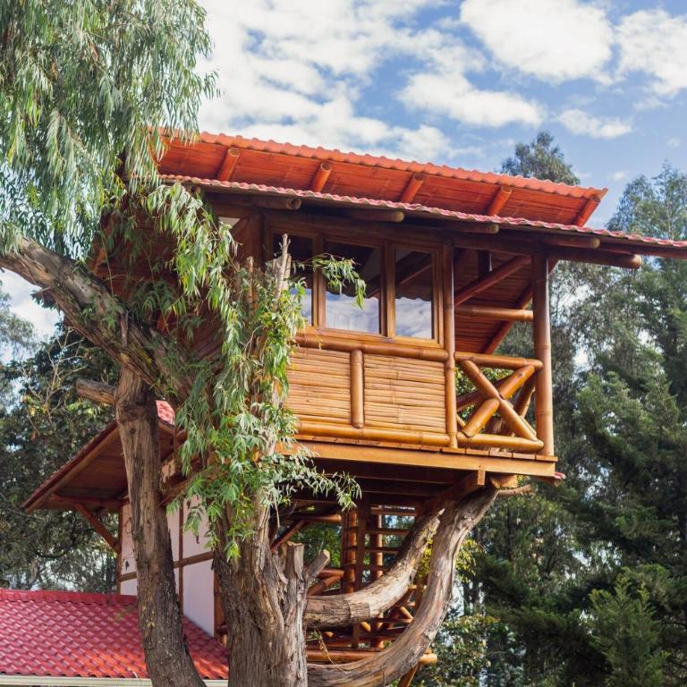 Spacious Quinta with green areas - Chalet - 42