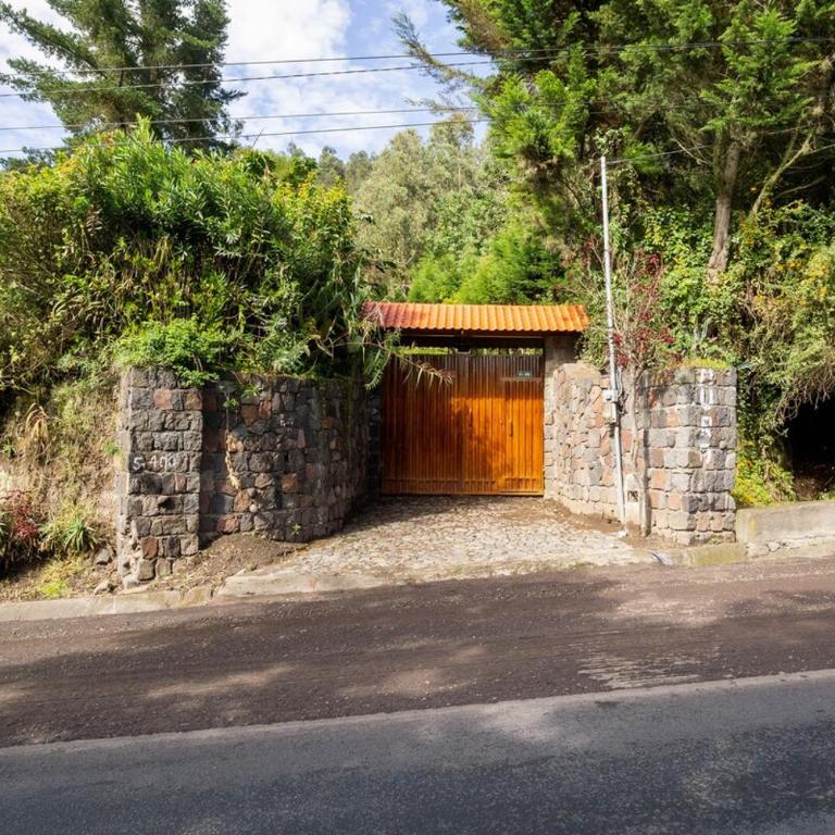 Spacious Quinta with green areas - Chalet - 44