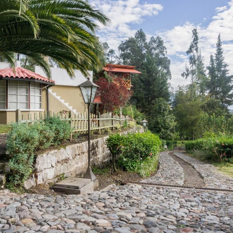 Spacious Quinta with green areas - Chalet - 47