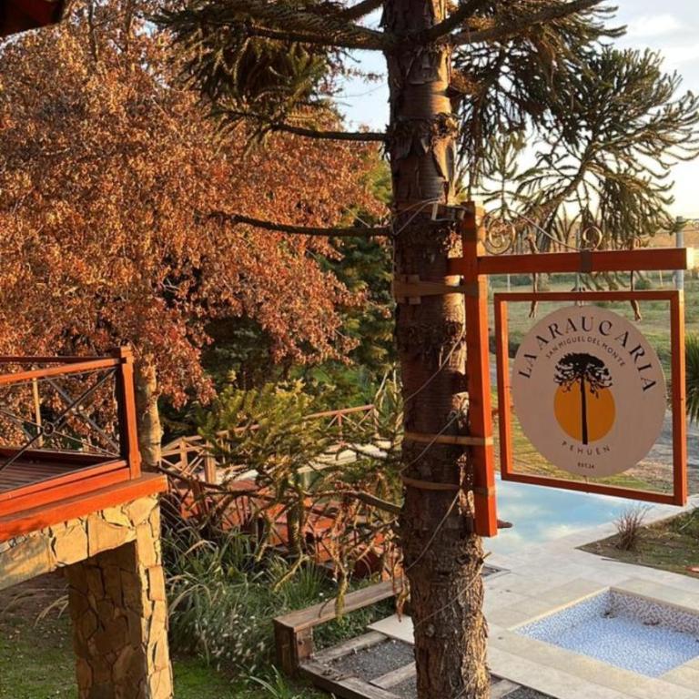 La Araucaria - Apartamento de 1 dormitorio - 2
