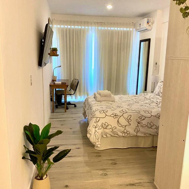 San Cristobal - All new, fully equipped apartment - Apartamento de 1 dormitorio - 6
