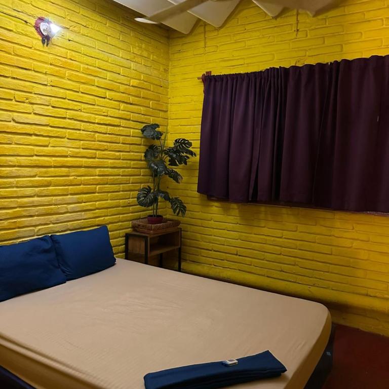 Shalom Backpacker Hostel - Habitación Doble Económica - 2