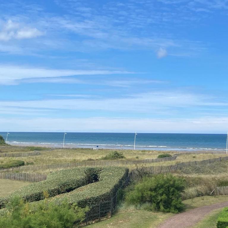 L instant Cabourg appartement vue mer - Appartamento con 1 Camera da Letto - 9