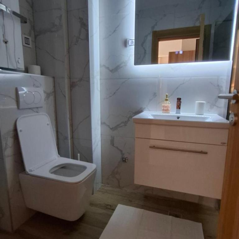 Apart-hotel Antique, Zlatibor - One-Bedroom Apartment with Balcony - 8