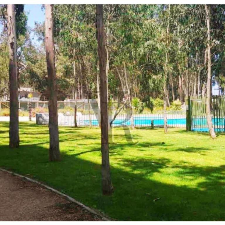 VR | Algarrobo Playa Mirasol 5PAX mar cerca, piscina, hermosa decoración, parking free - Three-Bedroom Apartment - 25
