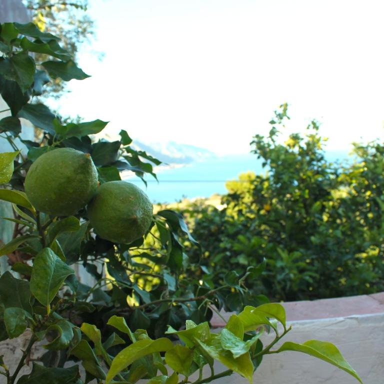 La Via del Mare - Camera King con Vista Mare - 18