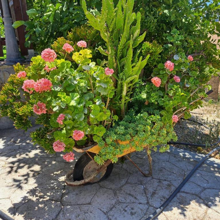 La casita encantada - Casa de 2 dormitorios - 33