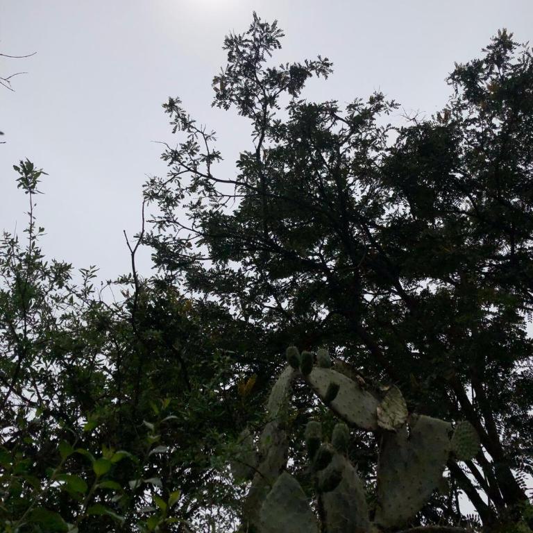 Killary - Apartamento de 1 dormitorio - 4