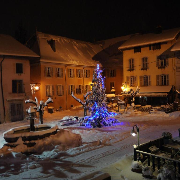 Cœur de Conflans - Appartement 1 Chambre - 20