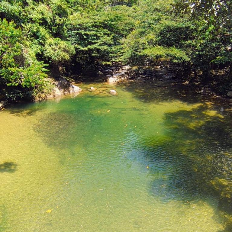 Cabaña en San Rafael Cerca de Ríos y Naturaleza - Three-Bedroom House - 2