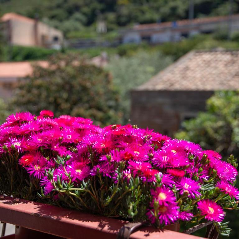 Casa fronte mare a San Saba - Appartamento con 2 Camere da Letto - 20