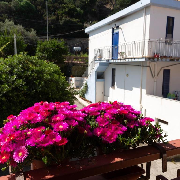 Casa fronte mare a San Saba - Appartamento con 2 Camere da Letto - 25