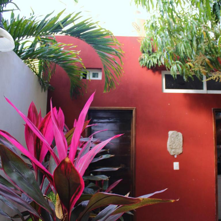 Casa Nicte-ha Valladolid - Four-Bedroom House - 10