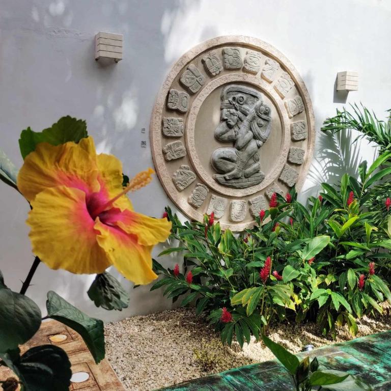 Casa Nicte-ha Valladolid - Four-Bedroom House - 9