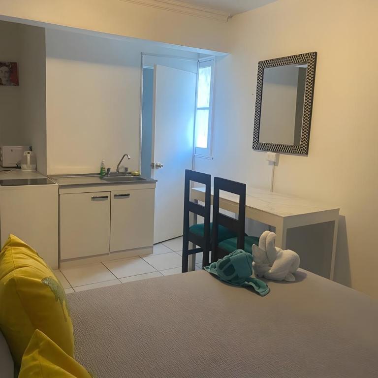 Eco Dpto Estudio El golf 9 - One-Bedroom Apartment - 8