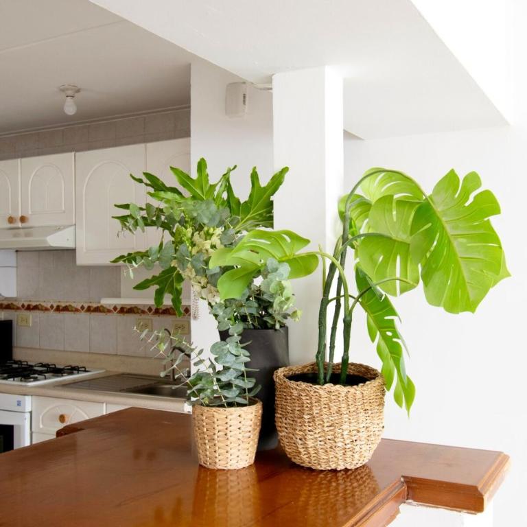 Tropical Mega Mexican Beach - Apartamento de 1 dormitorio - 21