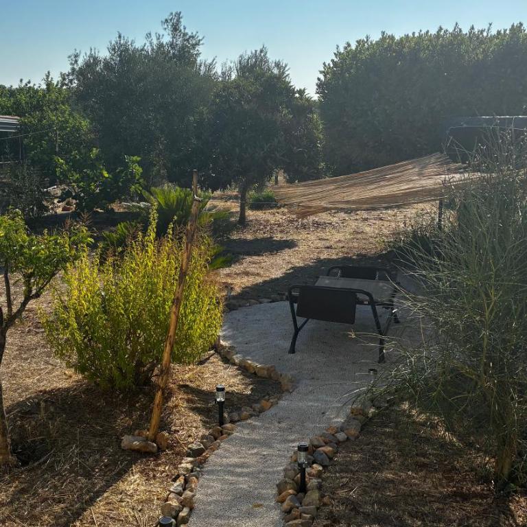 La casa degli ulivi - Casa con 3 Camere da Letto - 5
