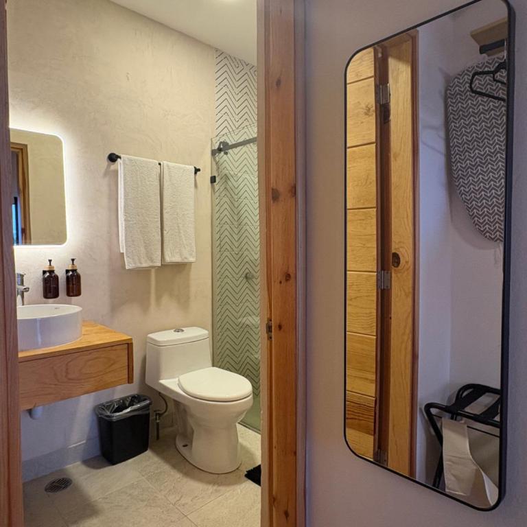 Casa Agaves Conjunto Habitacional - Double Room with Private Bathroom - 7