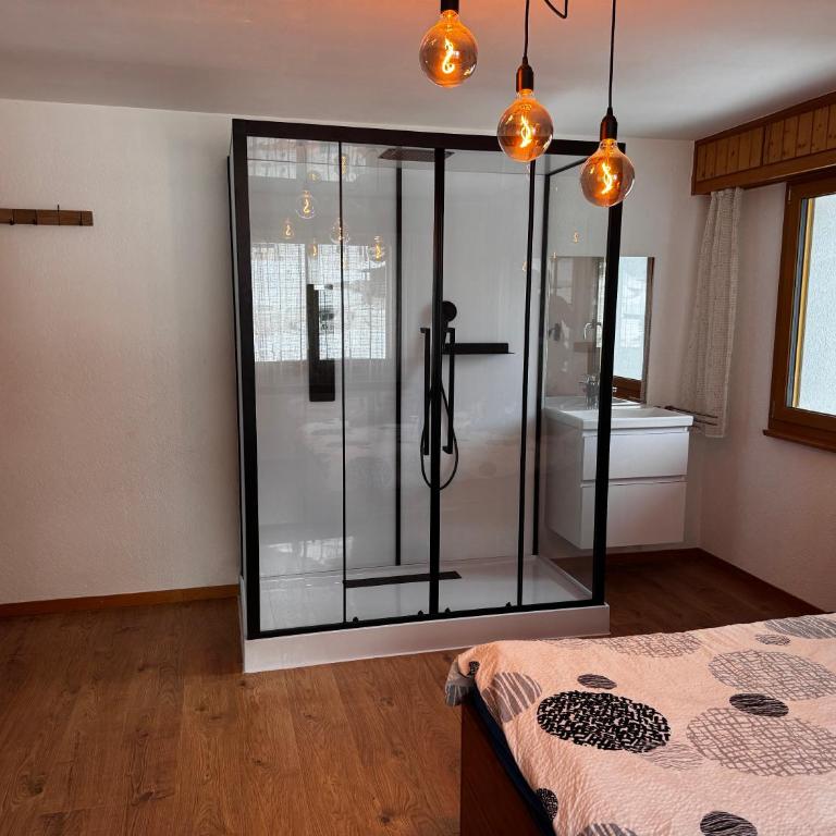 Zinal à 80m des remontées mécaniques - Apartment - 2