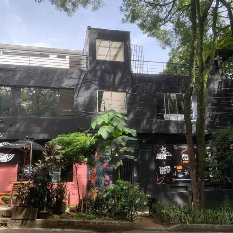 Apartahotel Provenza 2 - Apartment - 1