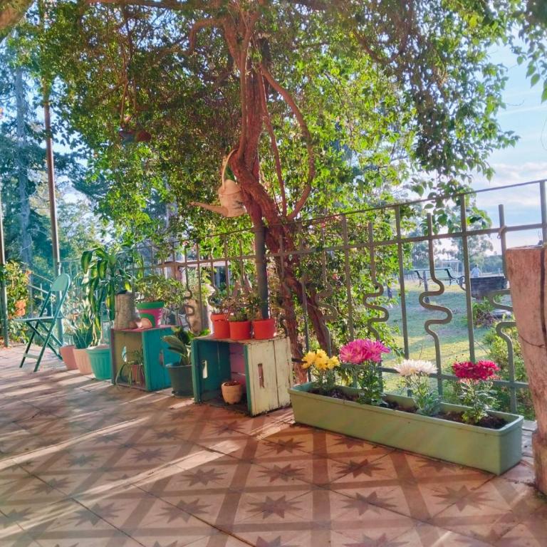 Santa Angela alojamiento de campo - Five-Bedroom House - 14