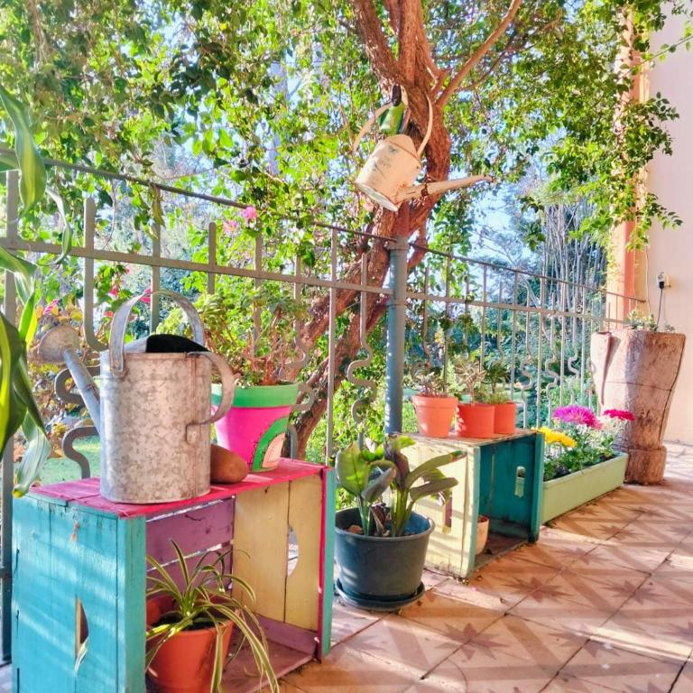 Santa Angela alojamiento de campo - Five-Bedroom House - 18