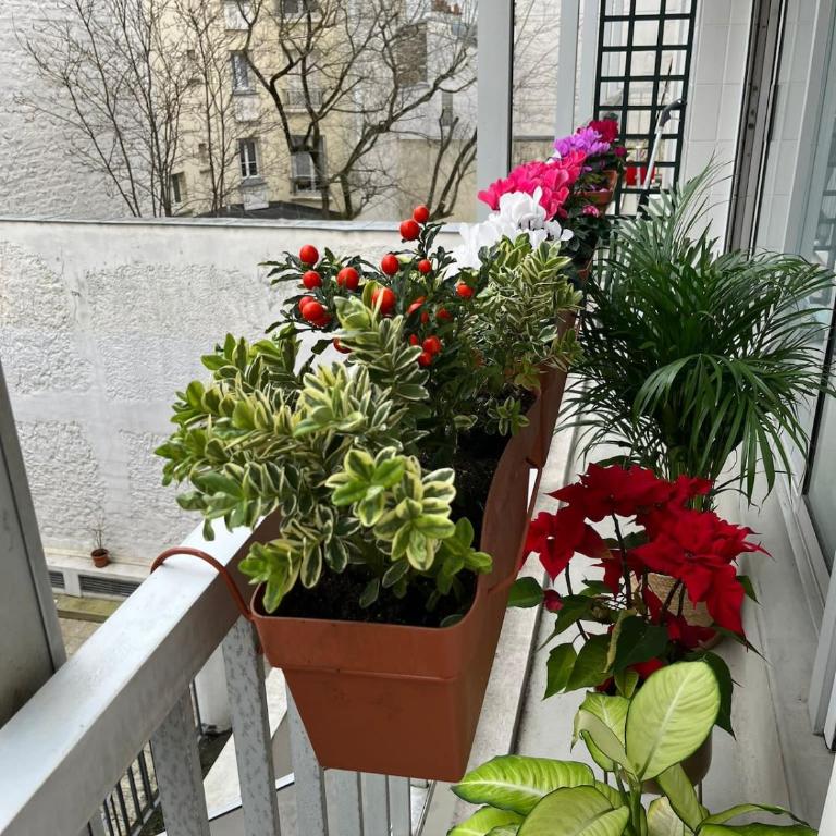 Spacious & Cozy 30 m2 Studio near Eiffel Tower - Studio - 14