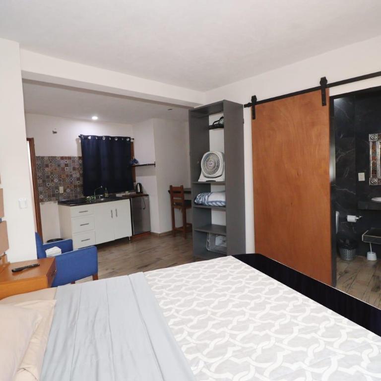 Casa Dos Fridas - Centro Guanajuato - One-Bedroom Apartment - 4