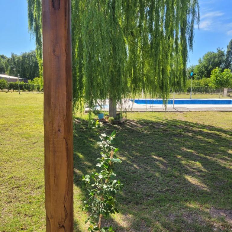 Cabañas DOÑA LIDIA - Apartamento de 1 dormitorio - 9