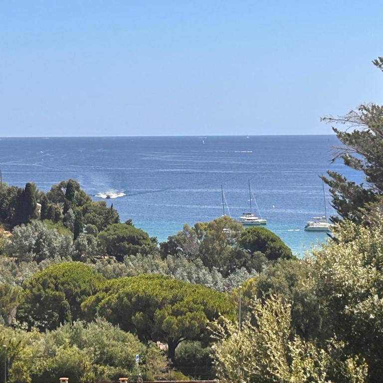Belle VUE MER, plage à pied, terrasse, jardin - Pramousquier - Apartment mit 2 Schlafzimmern - 17