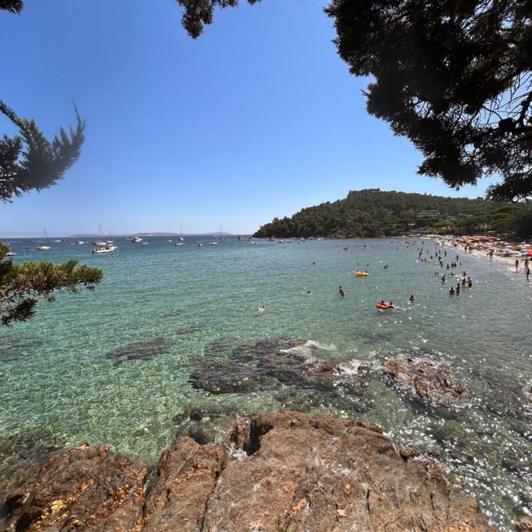 Belle VUE MER, plage à pied, terrasse, jardin - Pramousquier - Apartment mit 2 Schlafzimmern - 11