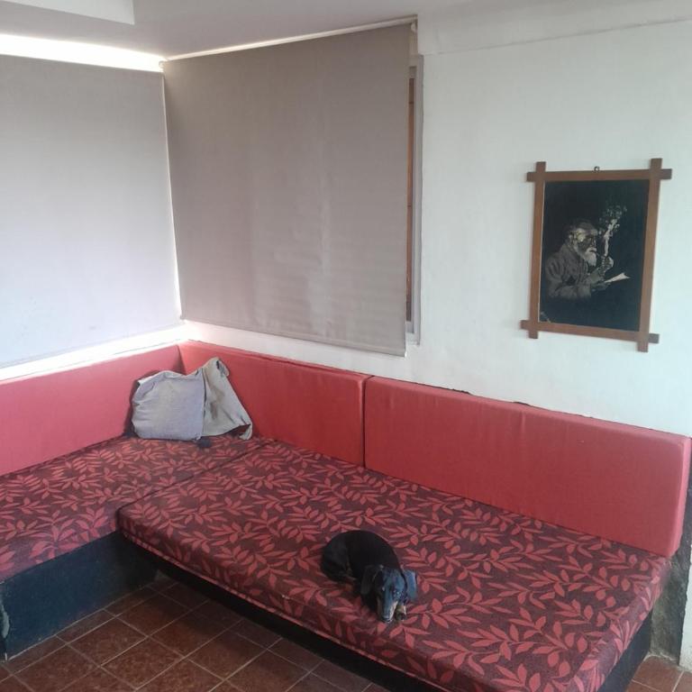 El Refugio - Chalet de 1 dormitorio - 8