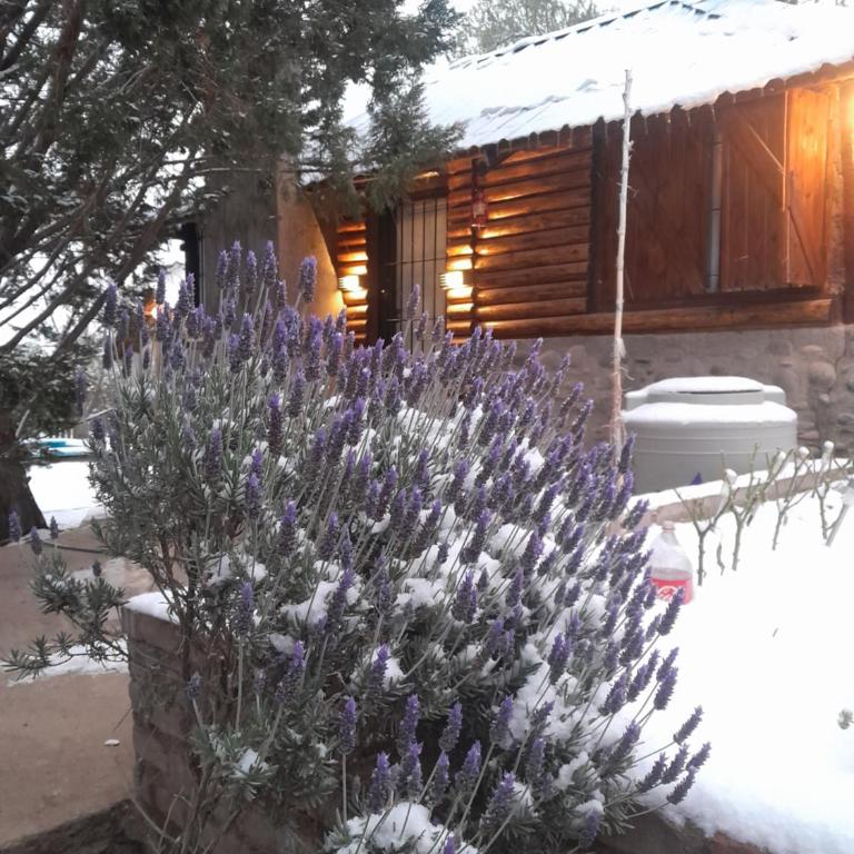 El Refugio - Chalet de 1 dormitorio - 26