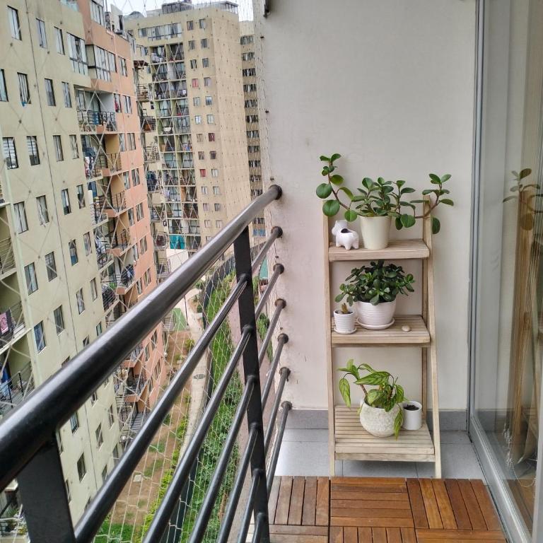 Adriana - Two-Bedroom Apartment - 6
