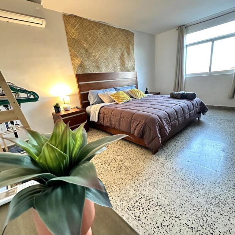 Best location in Oaxaca - Apartamento de 2 dormitorios - 21