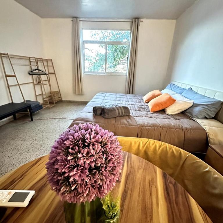 Best location in Oaxaca - Apartamento de 2 dormitorios - 31