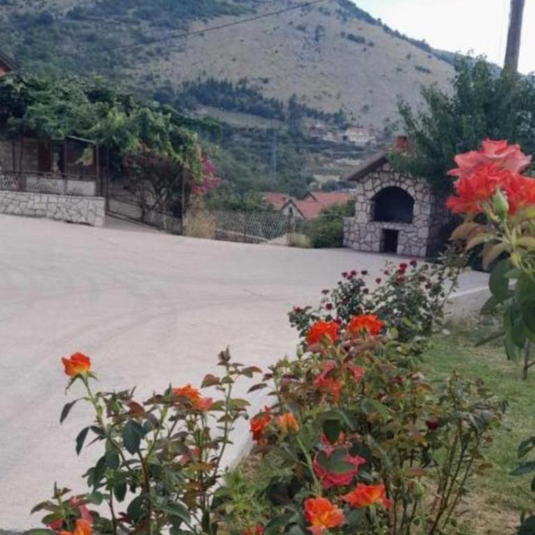 Apartman Vlačić - Apartman sa 1 Spavaćom Sobom - 1