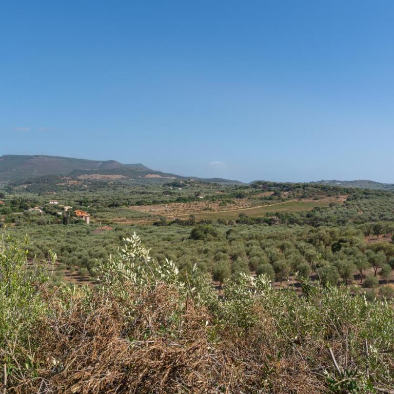 Villa Paradisu - Villa con 2 Camere da Letto - 31