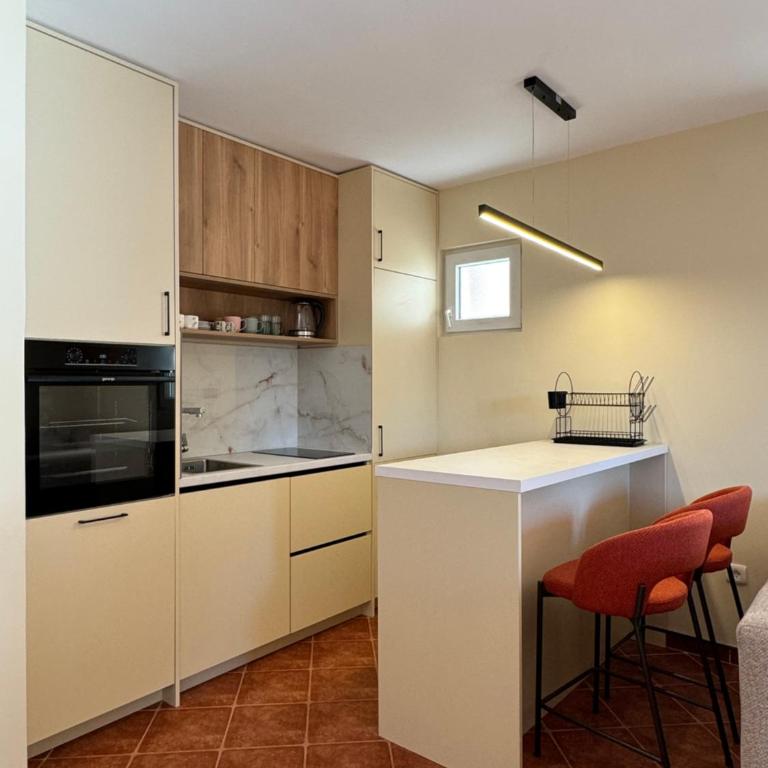 Vesna Apartments - Apartman sa 1 Spavaćom Sobom - 4