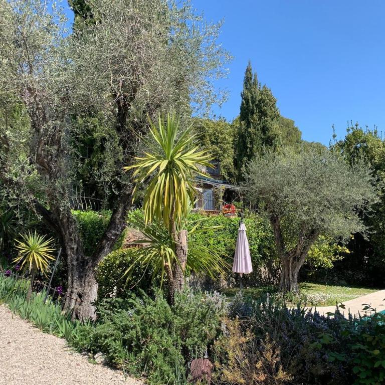 Charming Villa, Sunroof, big pool & olive trees - Villa - 19