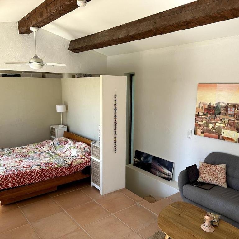 Charming Villa, Sunroof, big pool & olive trees - Villa - 27