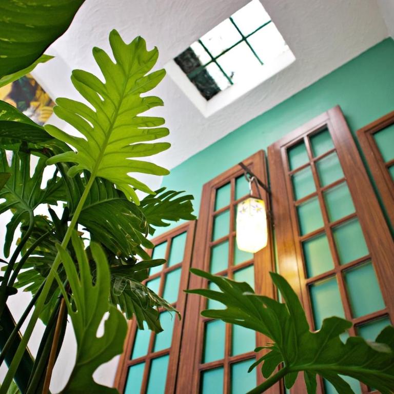 Stylish Art Déco Mexican House with rooftop - Three-Bedroom Apartment with View - 4