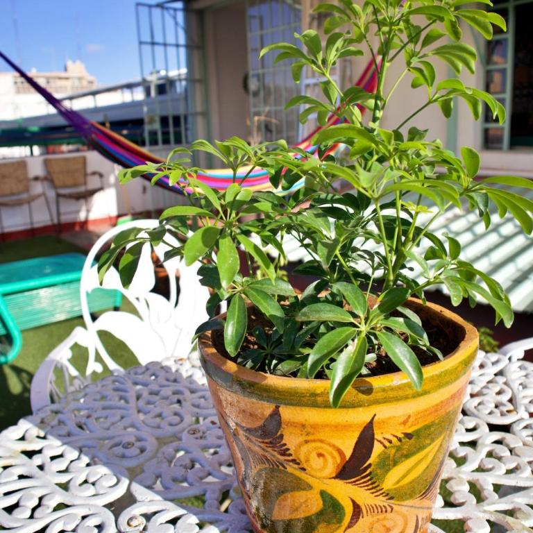 Stylish Art Déco Mexican House with rooftop - Three-Bedroom Apartment with View - 41