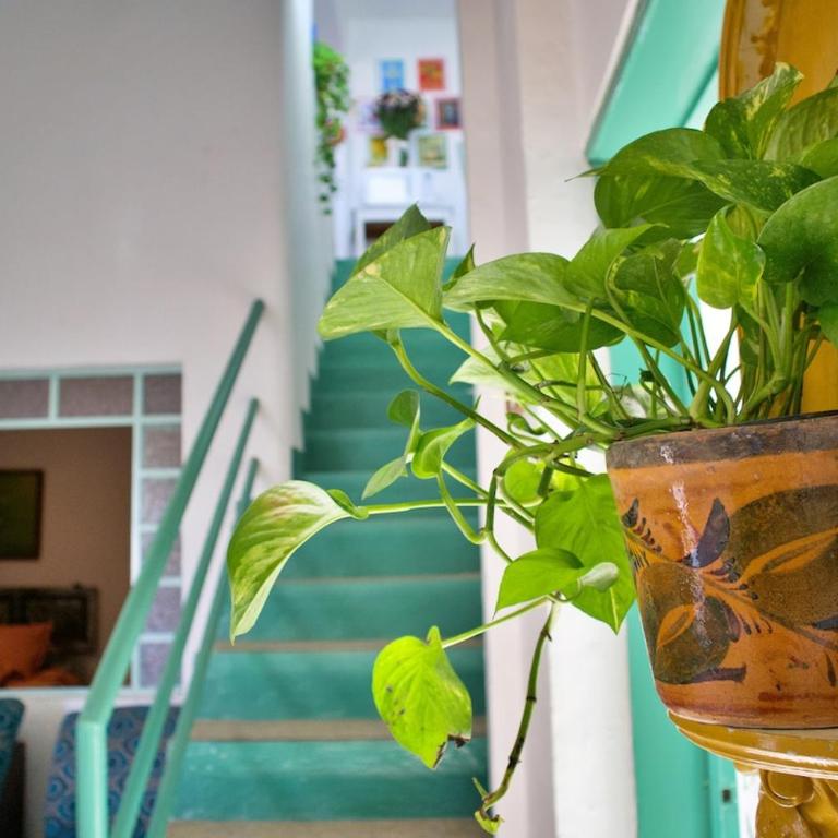 Stylish Art Déco Mexican House with rooftop - Three-Bedroom Apartment with View - 33